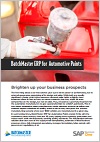 ERP for Automotive Paints