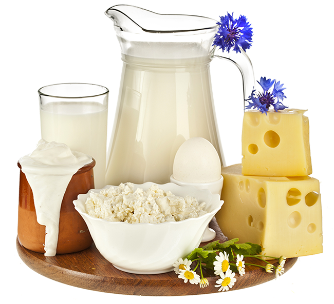 ERP Software for Dairy industries